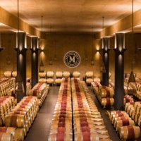 Partner A Hidden Treasure on the Tuscan Coast photo